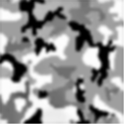 Transparent camo Roblox decal