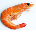 Shrimp Gangg