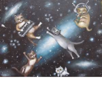 Kitty Cats In space!