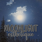moonlight esthétique.