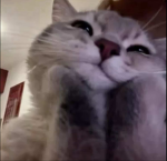 -*<3*-