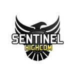 Sentinel High Command