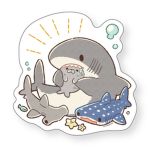 さめさん部屋