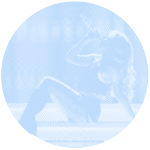 Lily’s Aesthetic shop/group