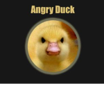 Angry Duckling Group