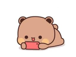 Bears 4 life!