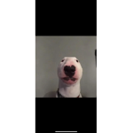 WalterMustLiveOn