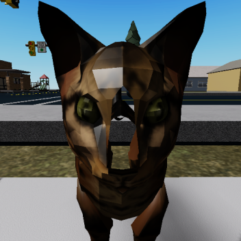 Walking on Your Cat!