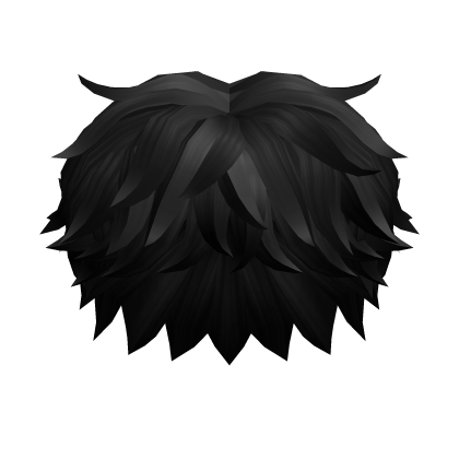 ❗Fluffy Black Hair Messy Roblox item