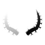Black and White Animated Hologram Horns