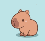 CAPYBARA GROUP ONLY