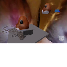Hamster Cart Ride