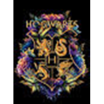 Academy for Harry Potter Fans!