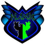 H.A.W.K. Air Force