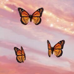 .b@e.