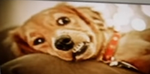 Goofy hehehe