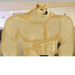 The Doge's Outpost
