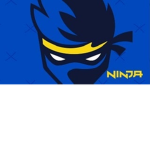 Ninja Gaming Group