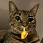 BRAZILLIAN CAT