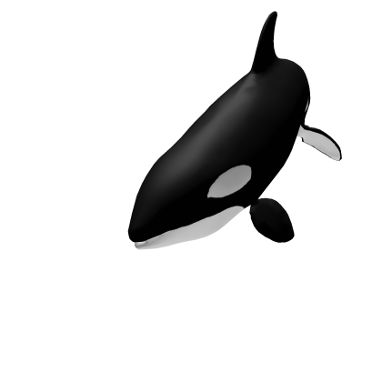 Orca Whale thumbnail