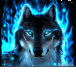 Kelly's wolfie group