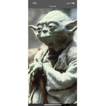 YODA WILL RISE