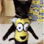 hello children!!!