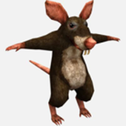 rat obby