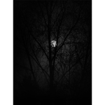 the_midnight_army