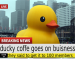 ducky coffee