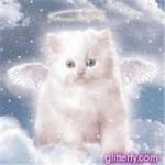 Angel Tribe