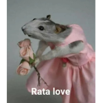 Esther rabbit