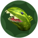 Watermelon Corps!