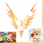 Donuts,Maveric and Kong