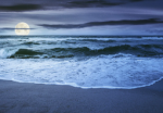Dead Tides