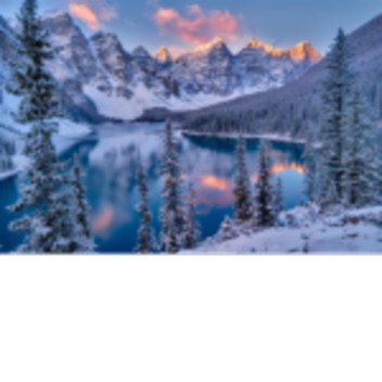 Roblox Celebration Game