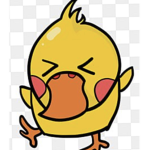 Big fat duck