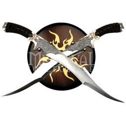 sword fighting arena