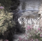 Aesthetic fairies<3
