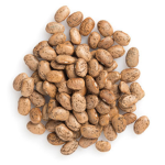 pinto beans