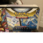 Pokémon silver tempest group