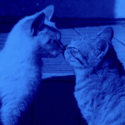 𝐲𝐨𝐮𝐫𝐬