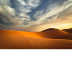 The Dunewalkers