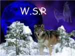 Wolf Squad of Roblox