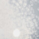 Have a Family in the Town of Robloxia™ 