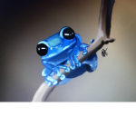 Blue frogs!!