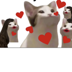 THE RUSSIAN POP CAT GROUP
