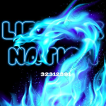 LifeTime Nation