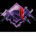 SKRILLEX GANG