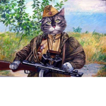 The cat army (cute cats, atacking, traitors)